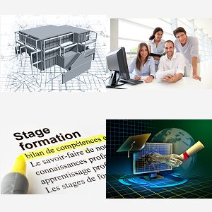 cours revit perfectionnement evry