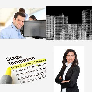 cours revit perfectionnement MULHOUSE