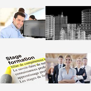 cours revit expert ST DENIS