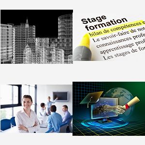 cours pro engeener expert VILLENEUVE D ASCO